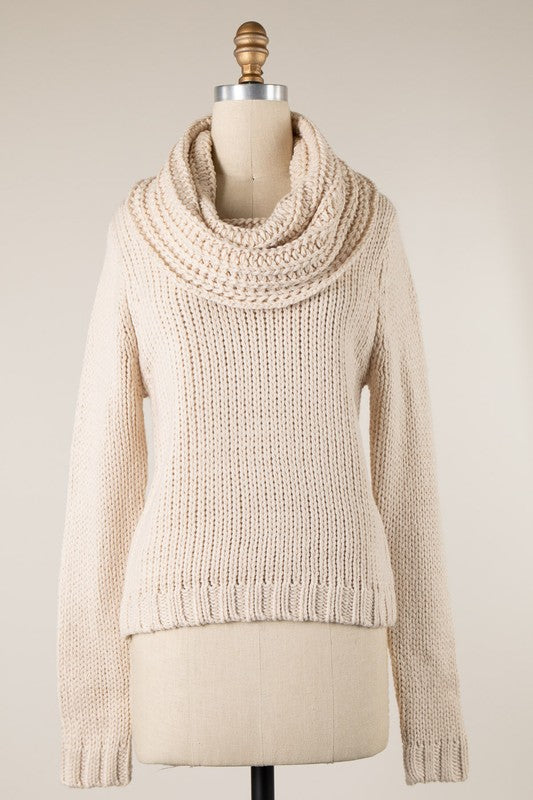 Chunky Cowl Neck Sweater
