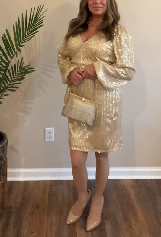 Bradshaw Sequin Dress