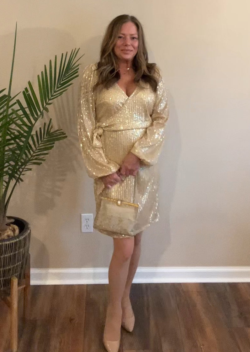 Bradshaw Sequin Dress