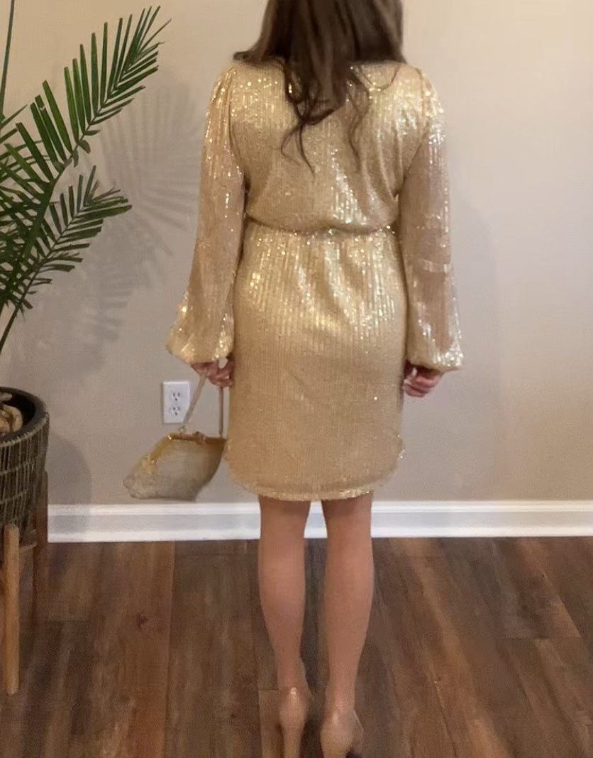 Bradshaw Sequin Dress