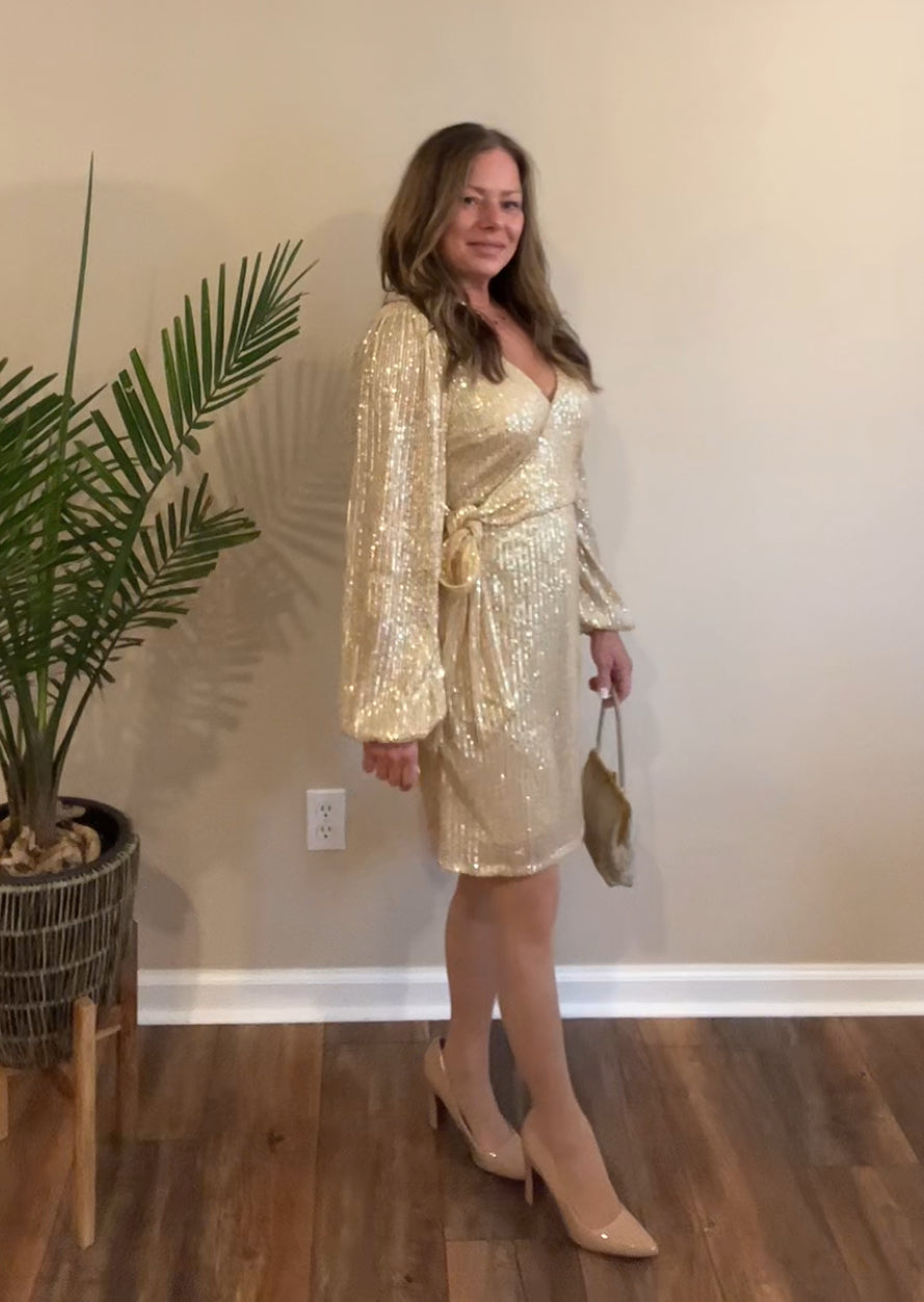 Bradshaw Sequin Dress