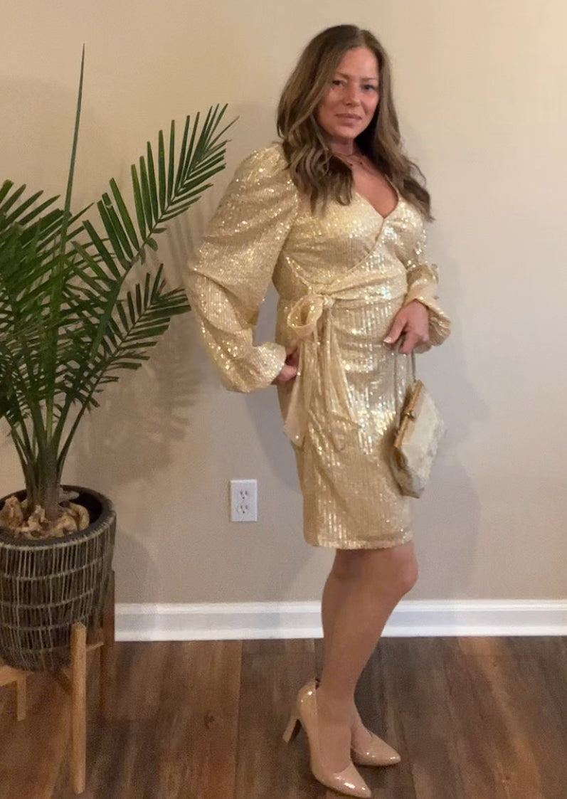 Bradshaw Sequin Dress