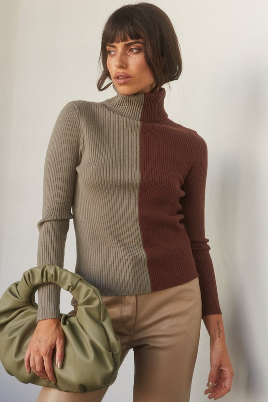 Color Block Turtle Neck