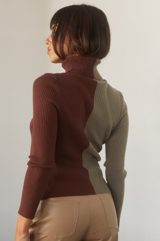 Color Block Turtle Neck